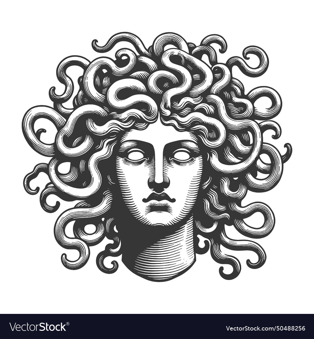 Medusa gorgo sketch Royalty Free Vector Image - VectorStock