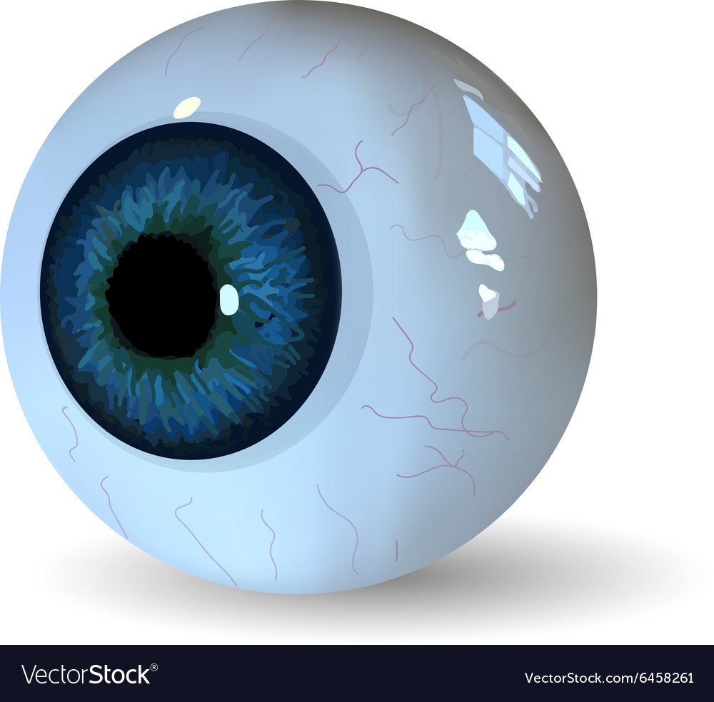 Eye ball isolated on white background Royalty Free Vector