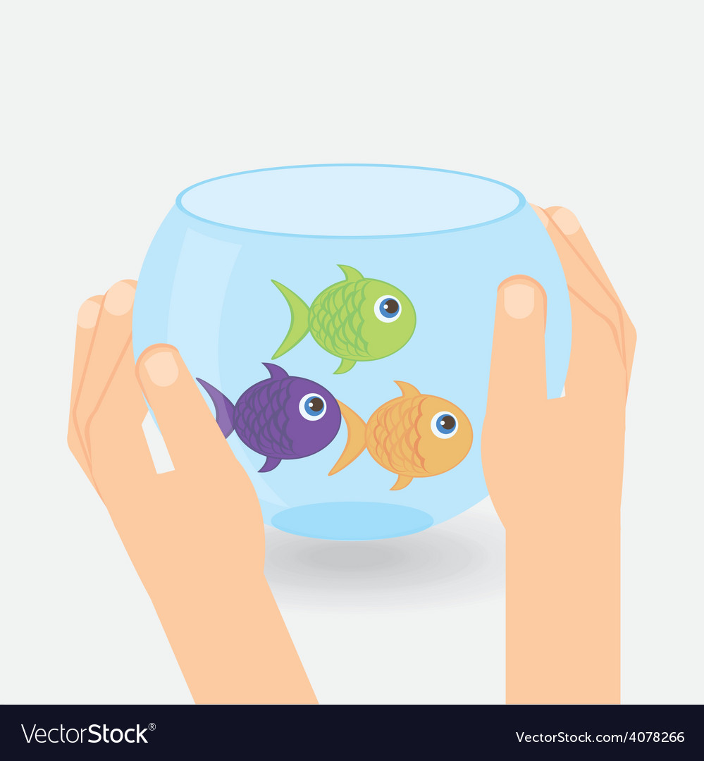 fish aquarium royalty free