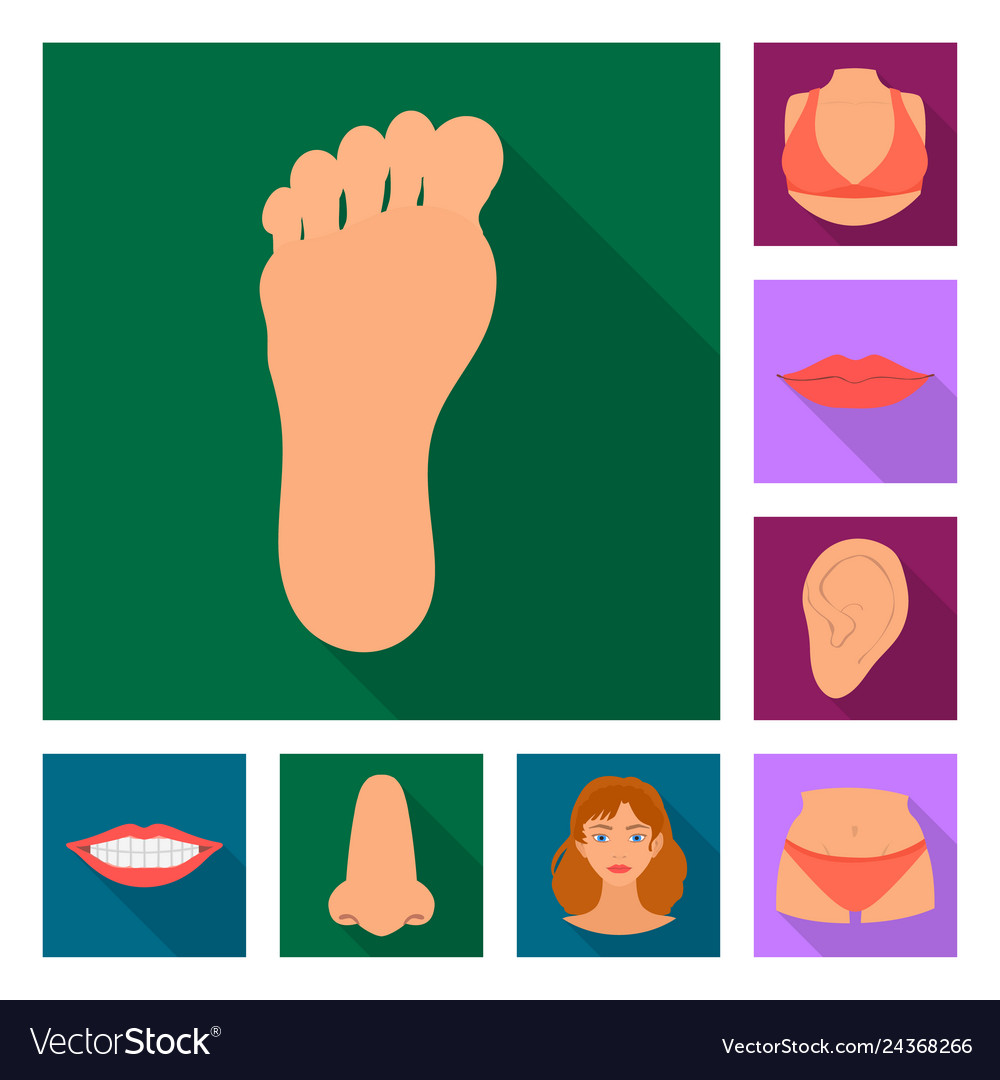 Isolated object of body and part sign set Vector Image Isolated object of body and part sign set