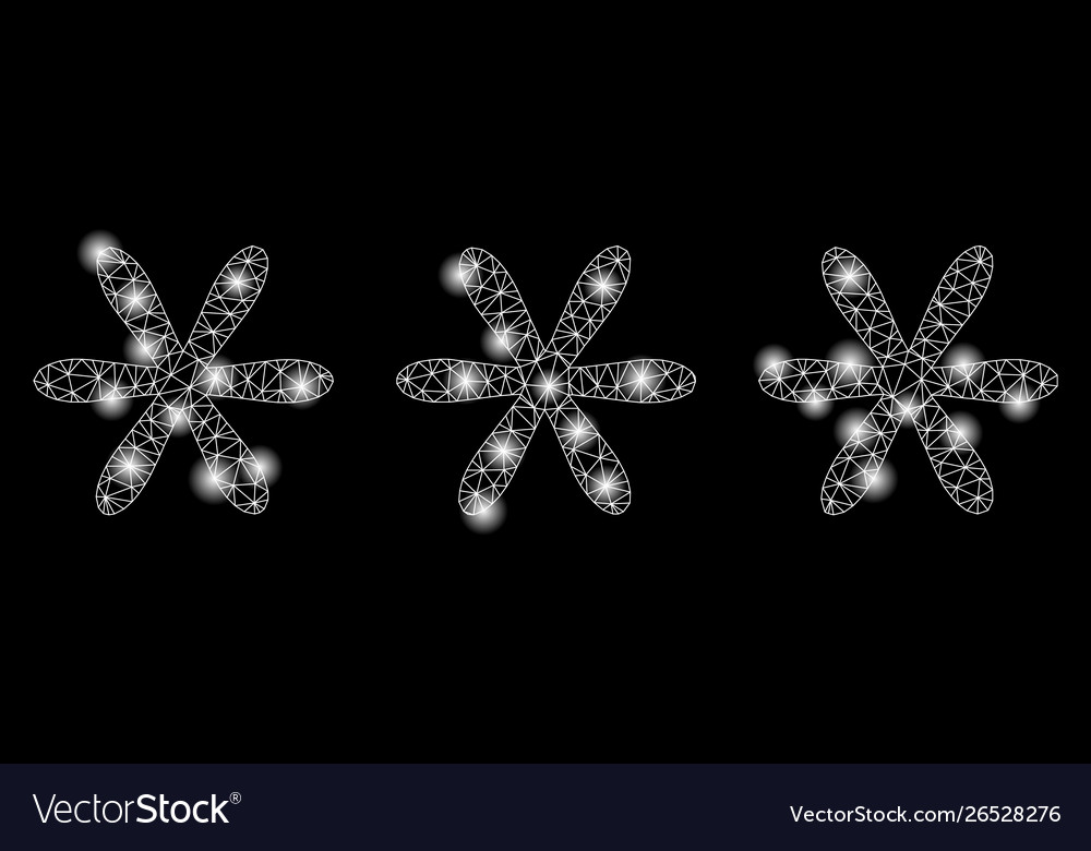 Glowing mesh carcass password code with light vector image Glowing mesh carcass password code with light