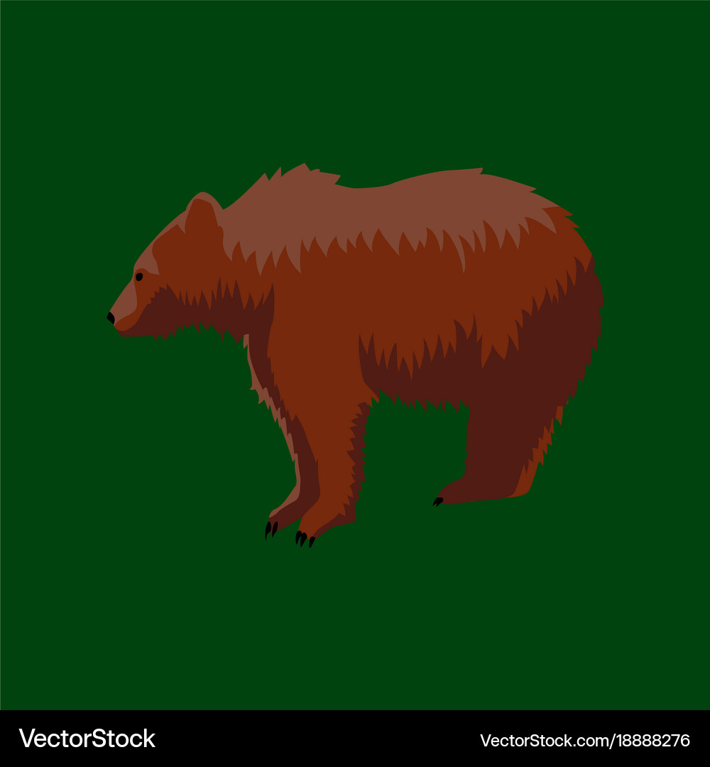 In flat style bear Royalty Free Vector Image - VectorStock