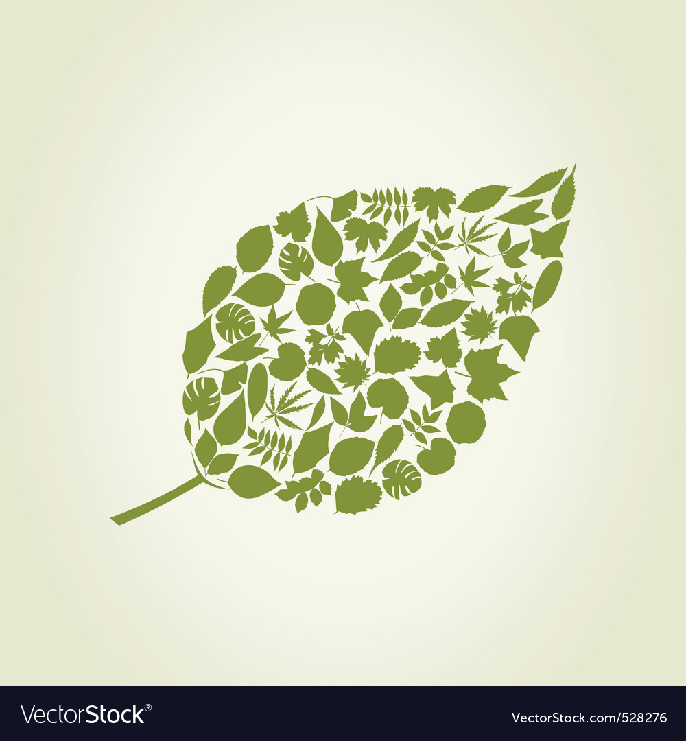 Leaf Pattern