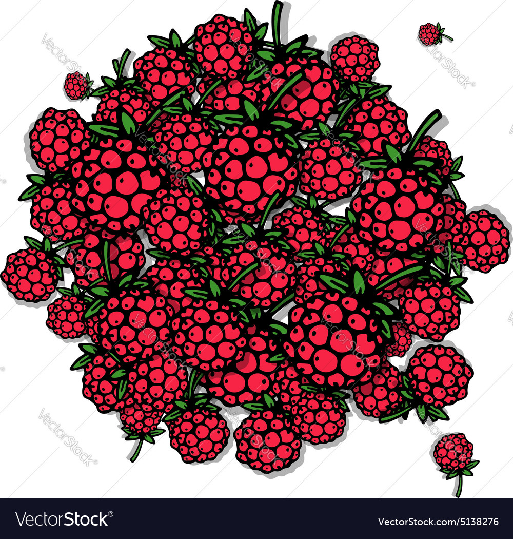 Raspberry frame sketch for your design