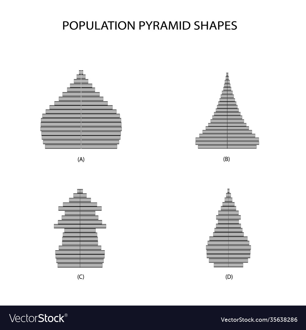 4 types population pyramids graphs vector image 4 types population pyramids graphs