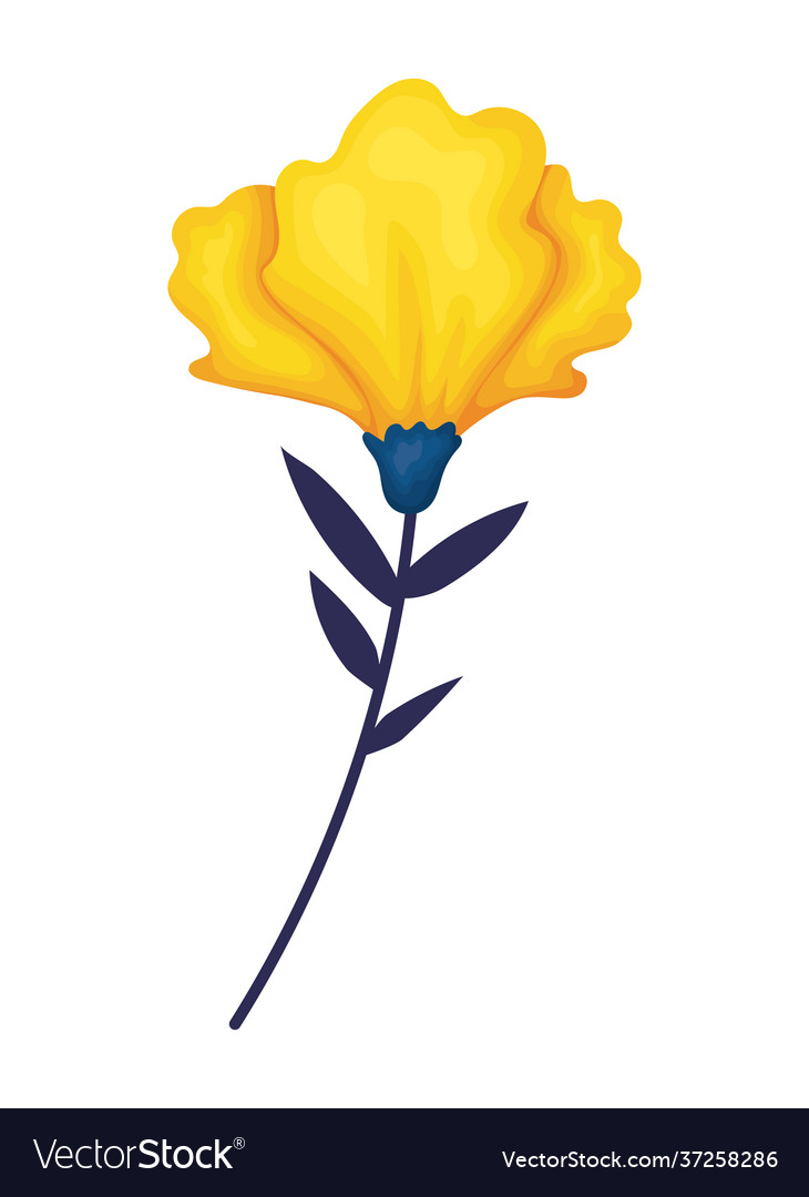 Yellow flower isolated Royalty Free Vector Image