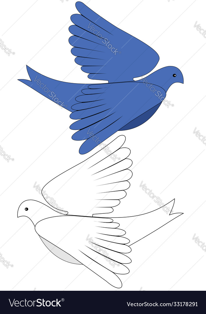 Blue and white dove