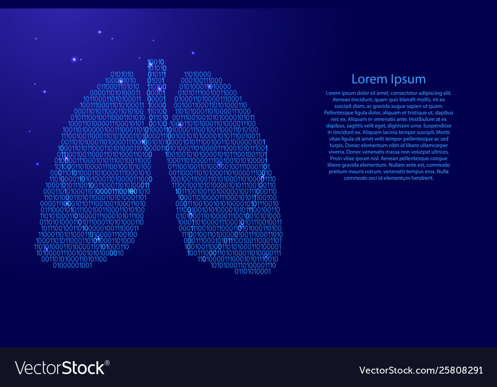 Lungs Human Anatomy Respiratory Organ Abstract Vector Image