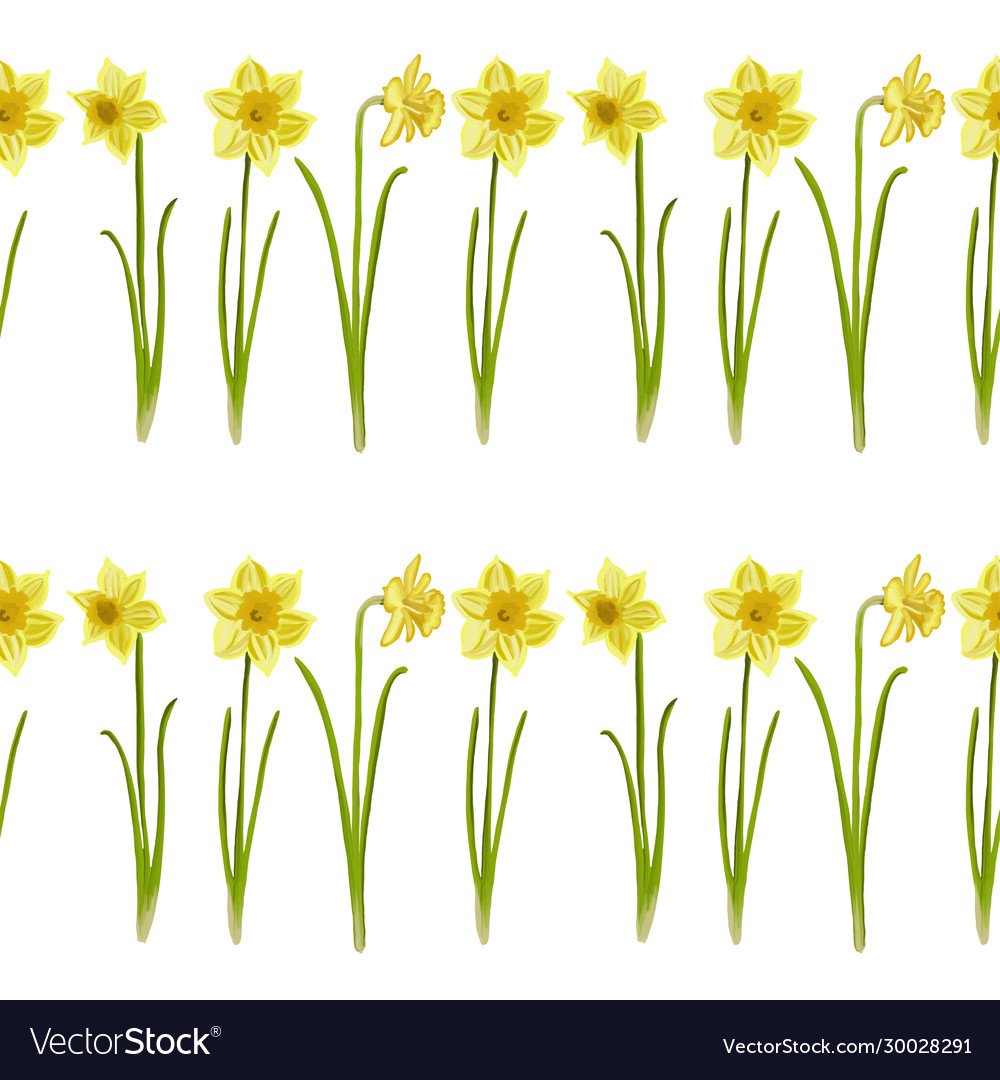 Seamless pattern painted daffodils