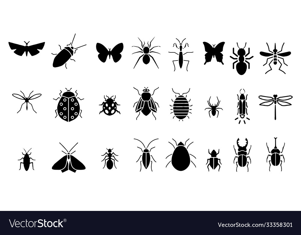 Cockroach insect icons set on white background Vector Image