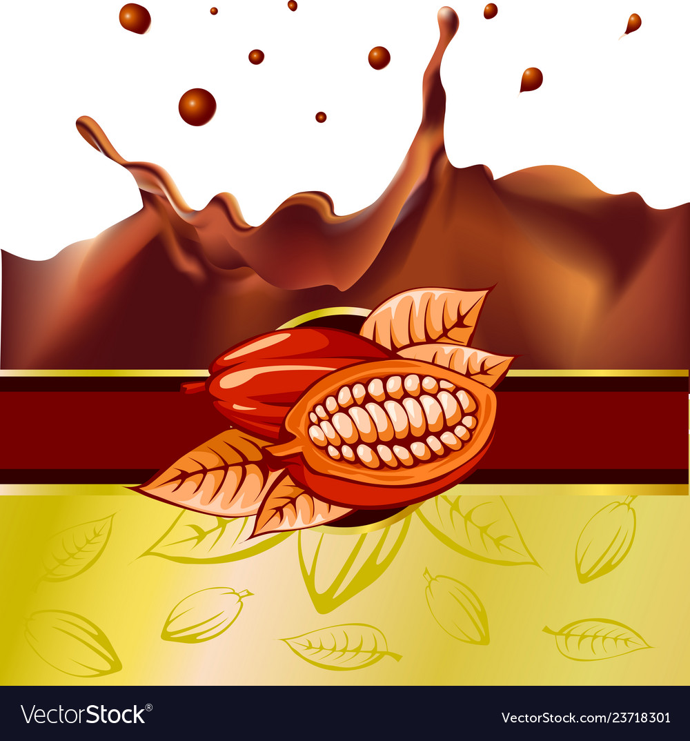 Cocoa Bean Splash