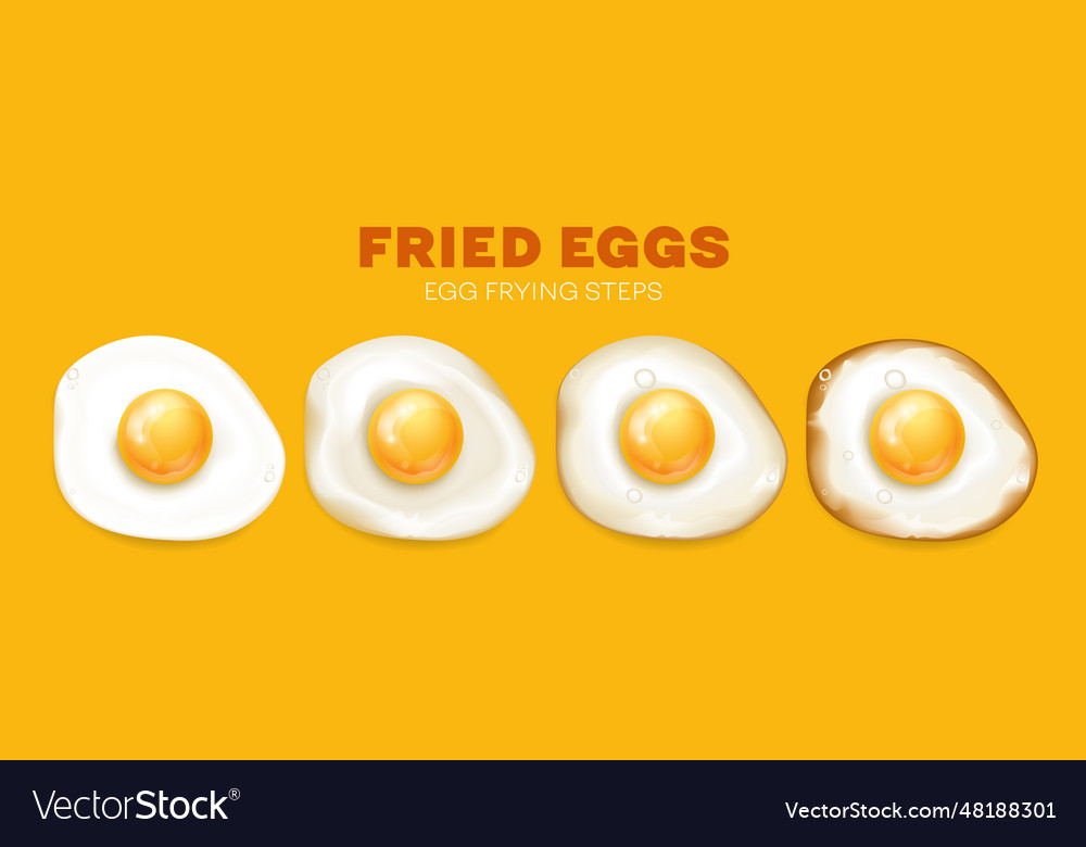 Fried egg stages Royalty Free Vector Image - VectorStock