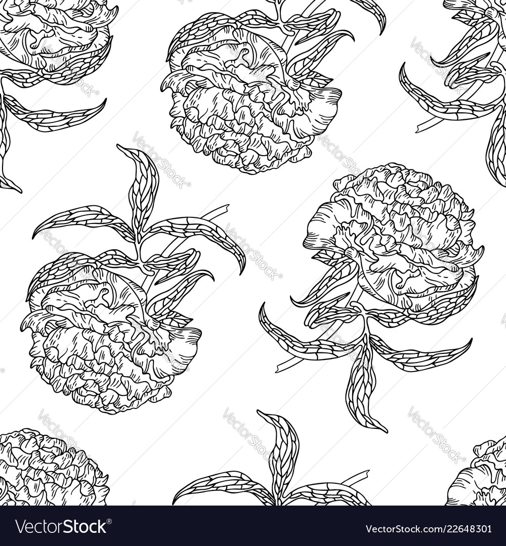 Seamless pattern with peony flowers vector image Seamless pattern with peony flowers