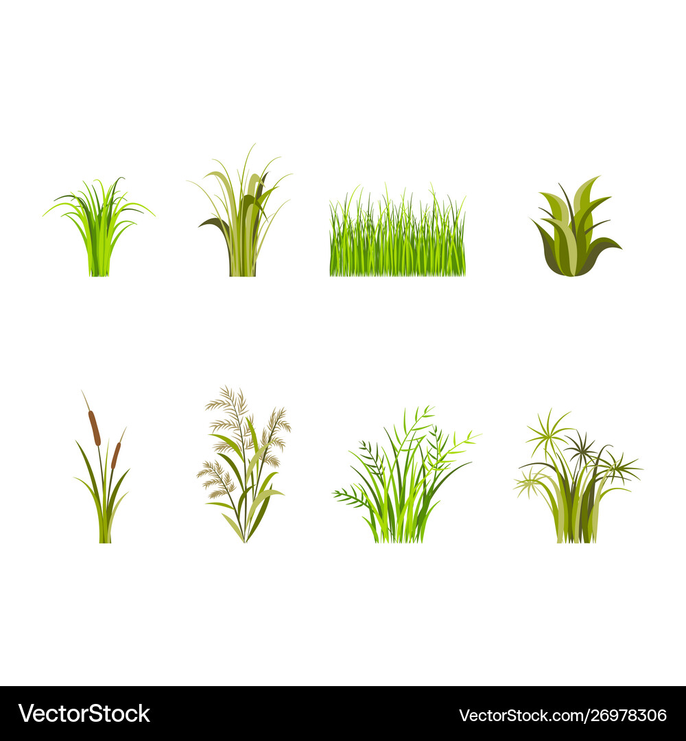 Green grass set decor elements isolated on a white