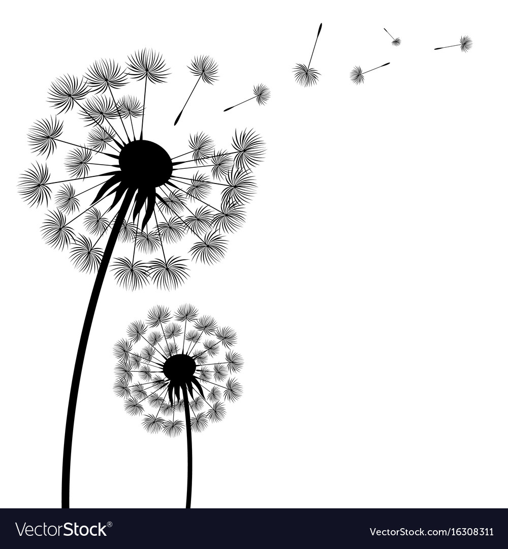 dandelion silhouette vector free