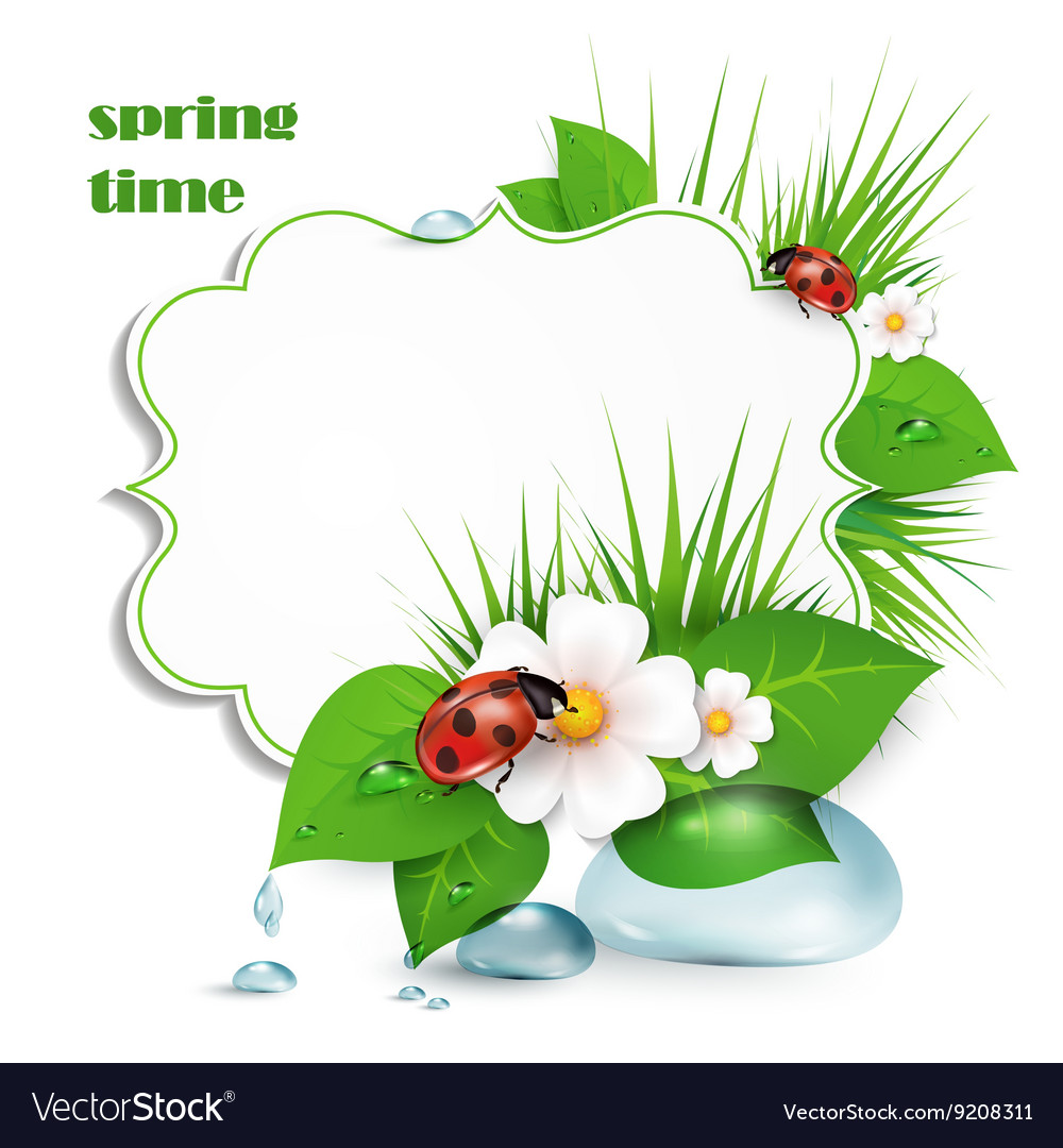 Spring frame
