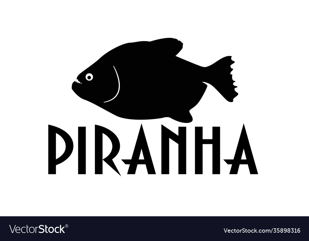 Black piranha