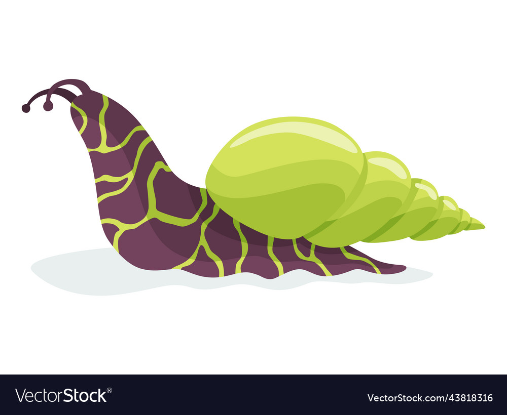 Snail crawling snailfish colour shell colourful vector image Snail crawling snailfish colour shell colourful