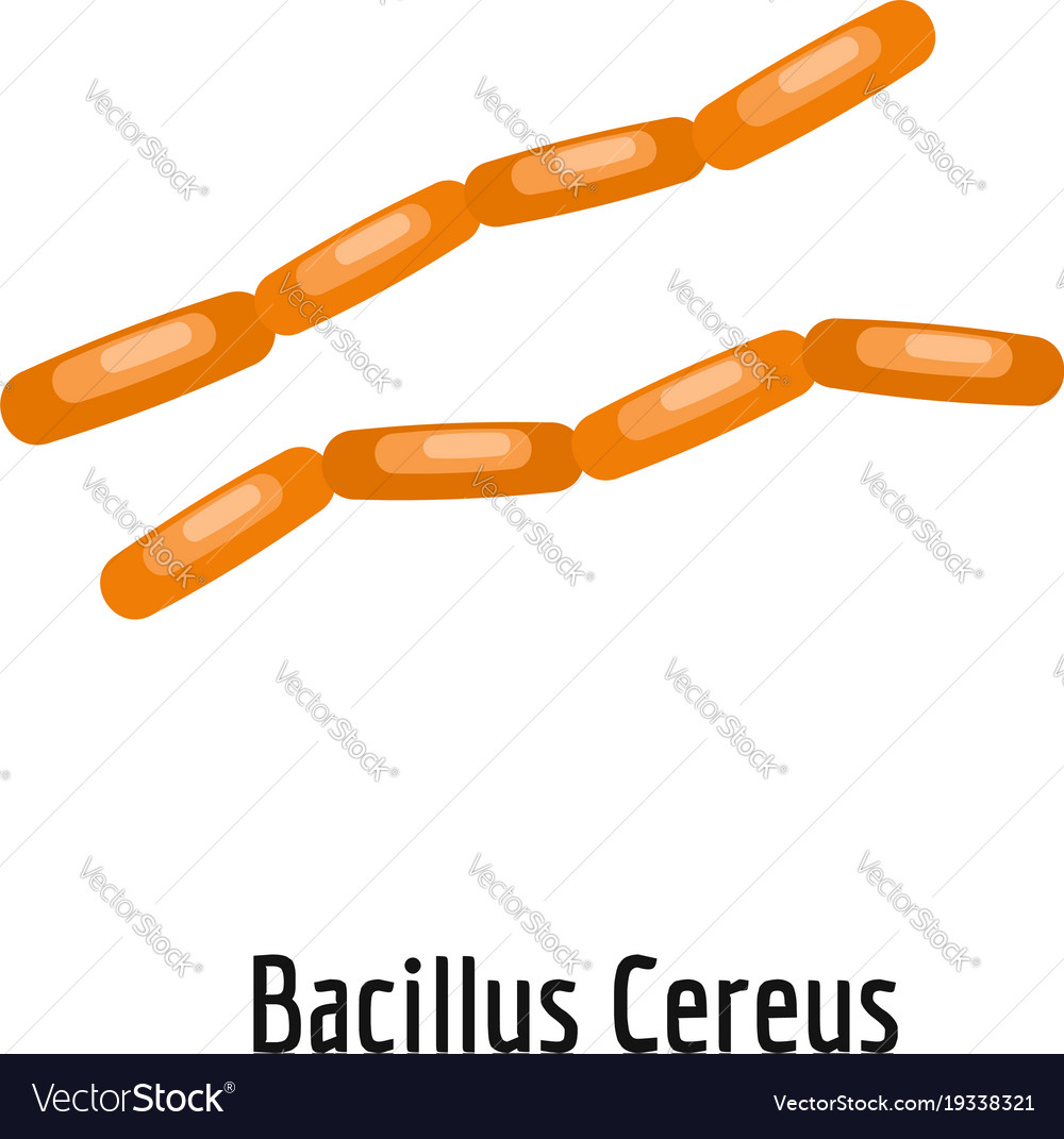 Bacillus cereus icon cartoon style Royalty Free Vector Image