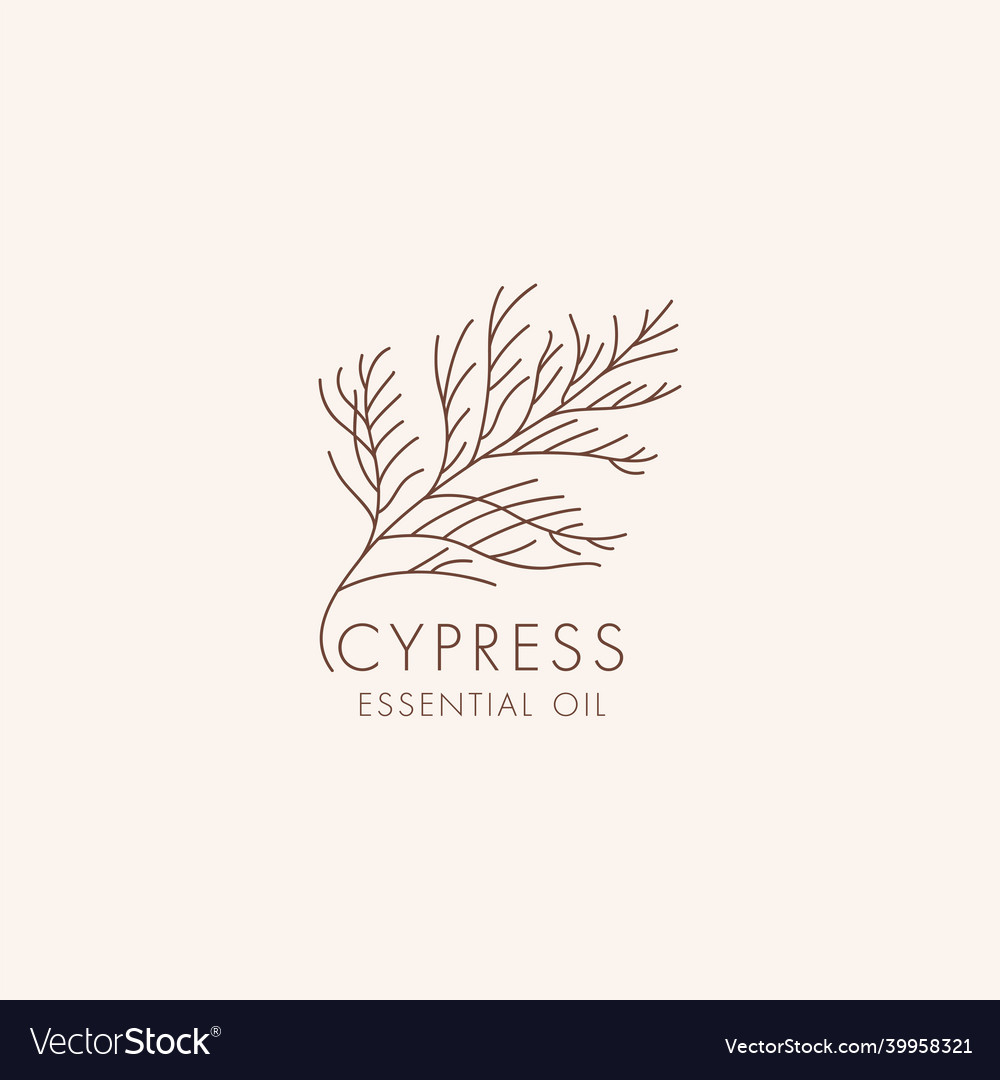 Linear botanical icon and symbol - cypress