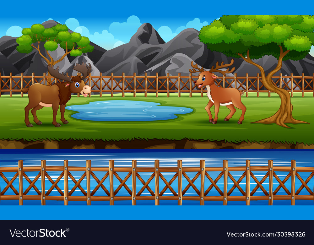 Zoo scene with a moose and deer playing in open c