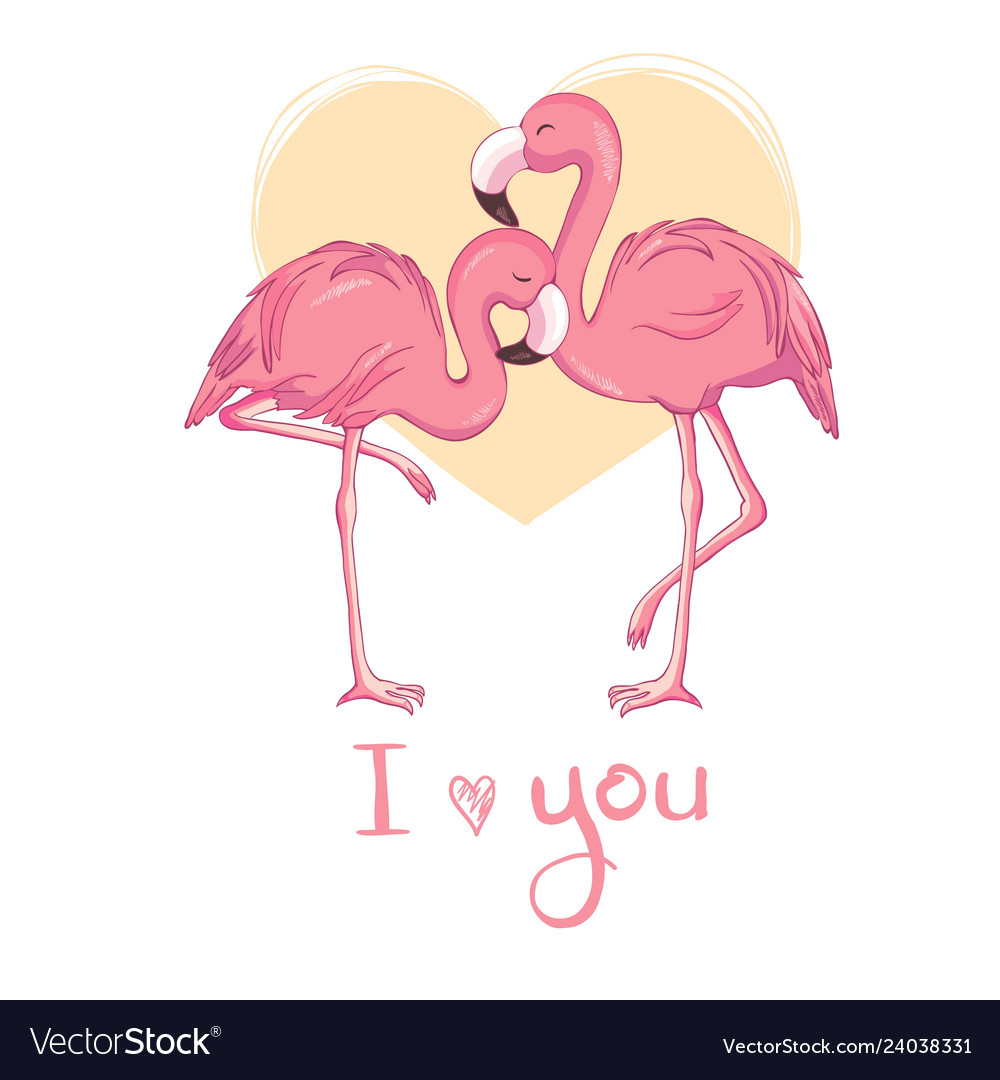 Flamingo bird design on background vector image Flamingo bird design on background