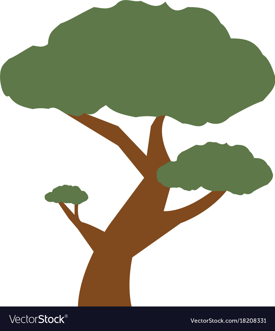 Tree icon image