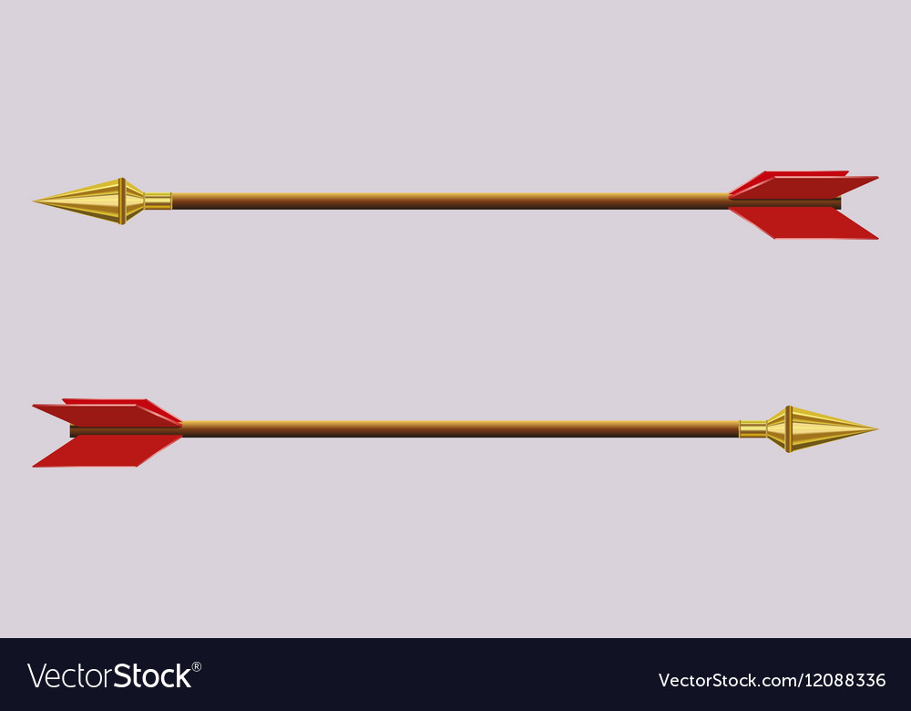 Arrow with a gold tip Royalty Free Vector Image