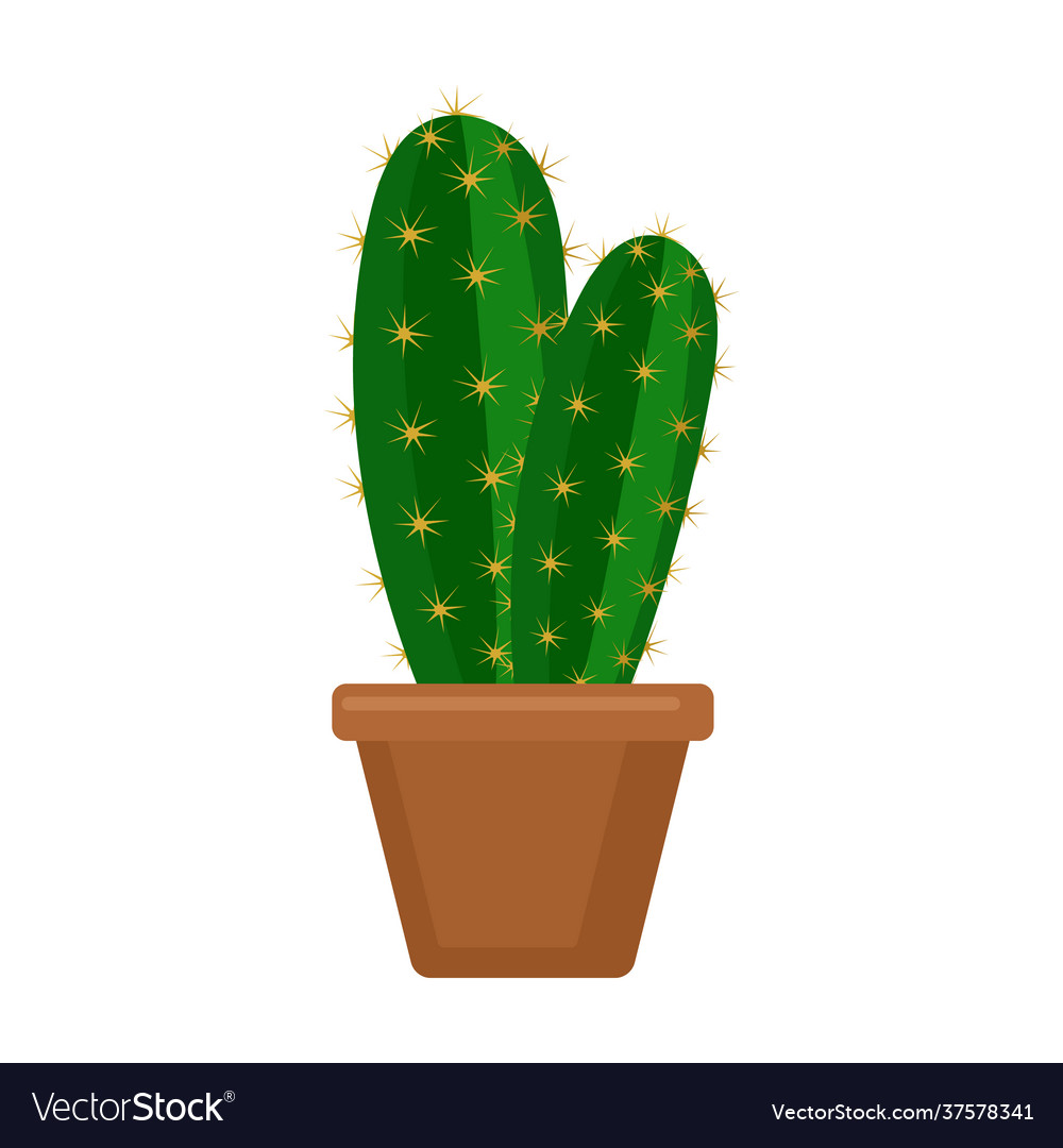 Houseplant cacti cartoon icon