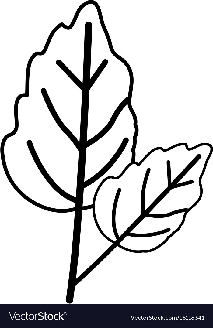 Sketch contour of wavy two leaves plant