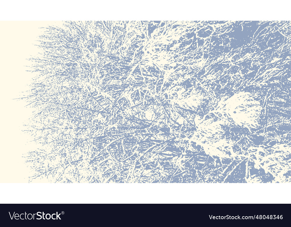 Tree branches with snow in winter texture vector image Tree branches with snow in winter texture