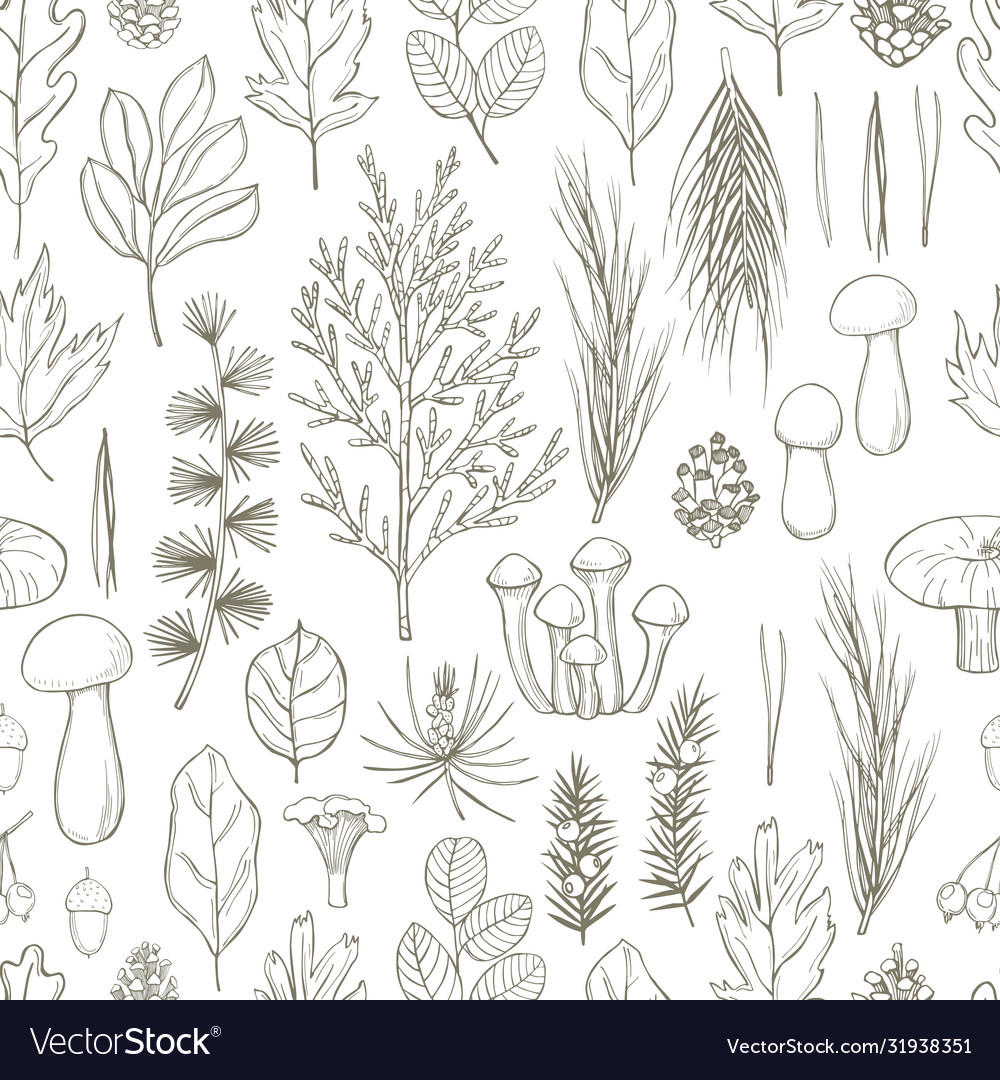 Forest seamless pattern with leaves conifer