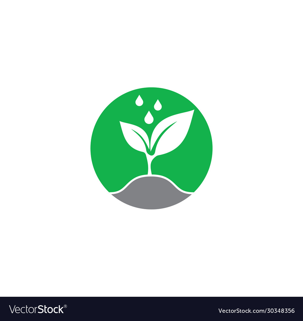 Seed related icon on background for graphic Vector Image