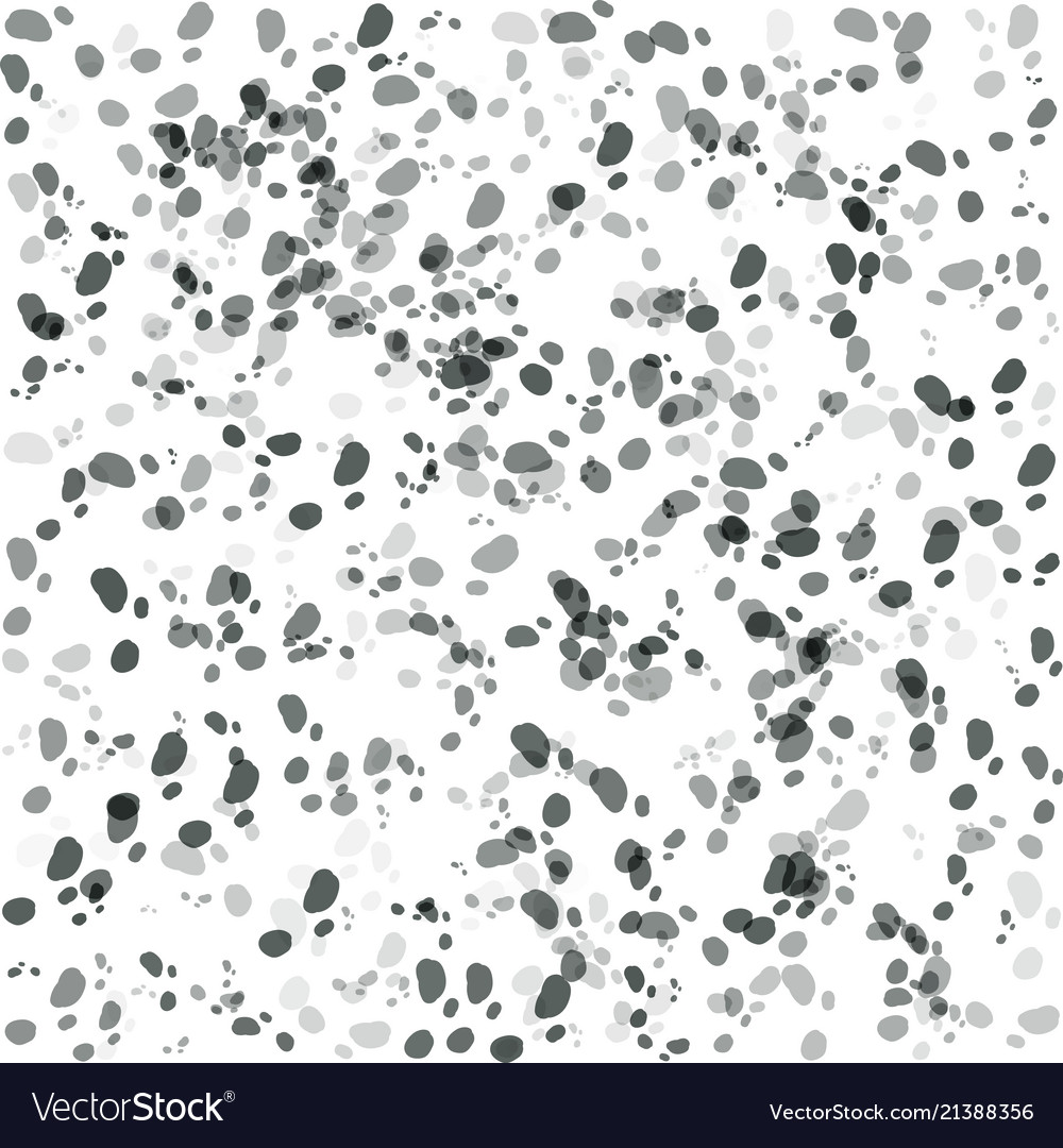 Sone texture pattern vector image Sone texture pattern