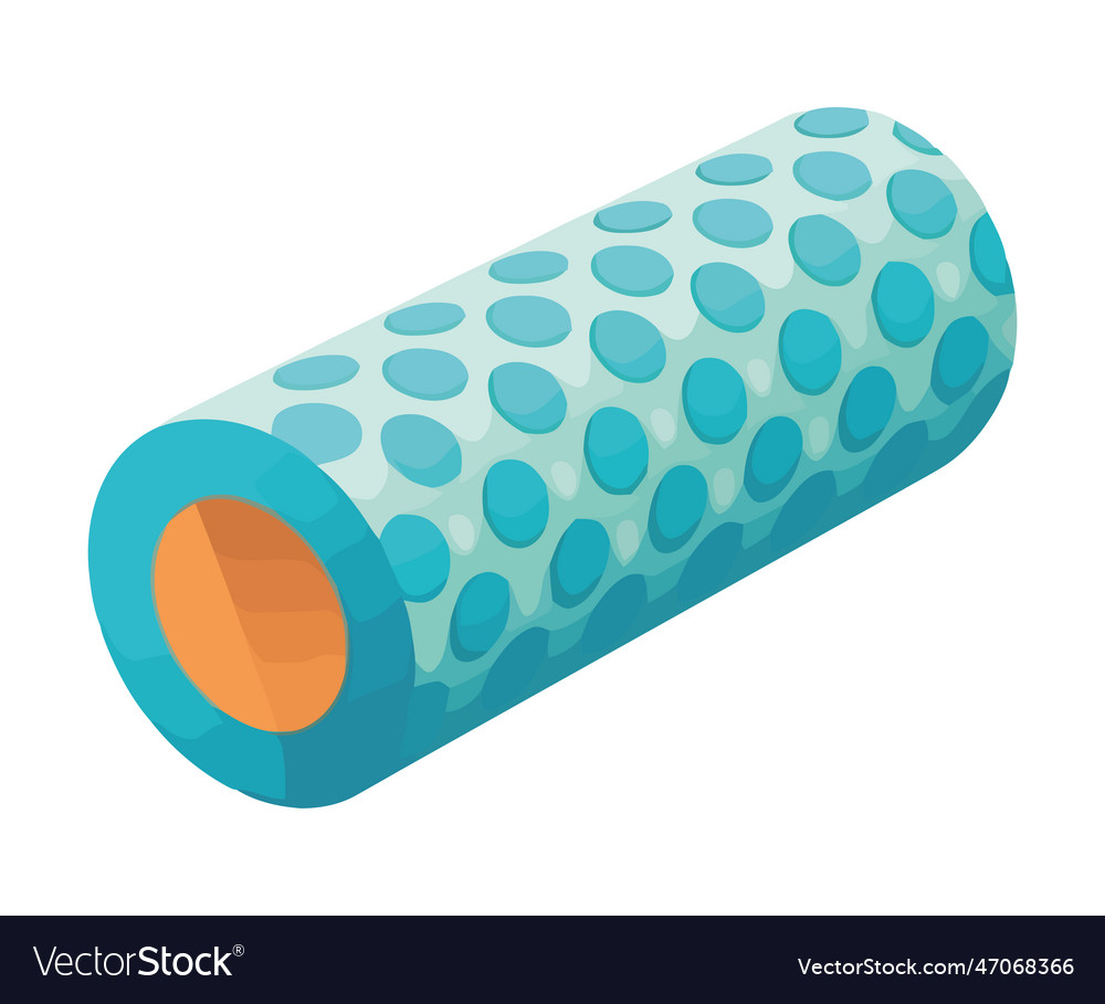 Foam roller personal training equipment