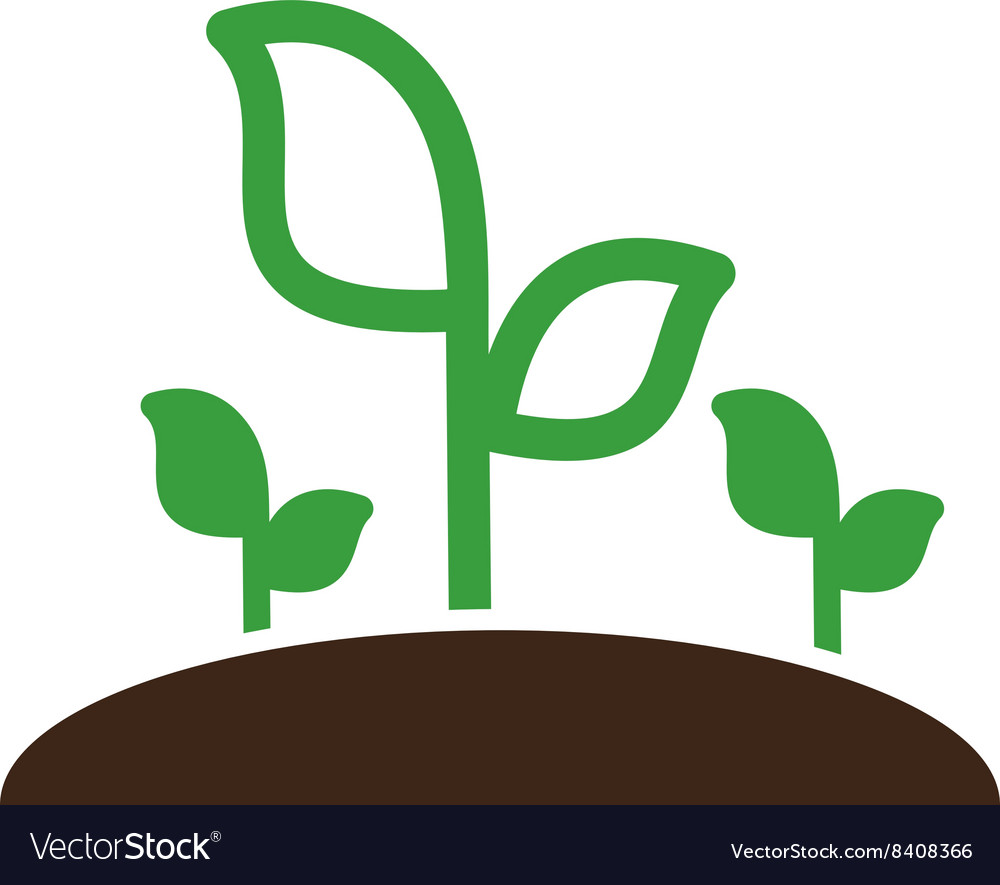 Plant sprout icon garden