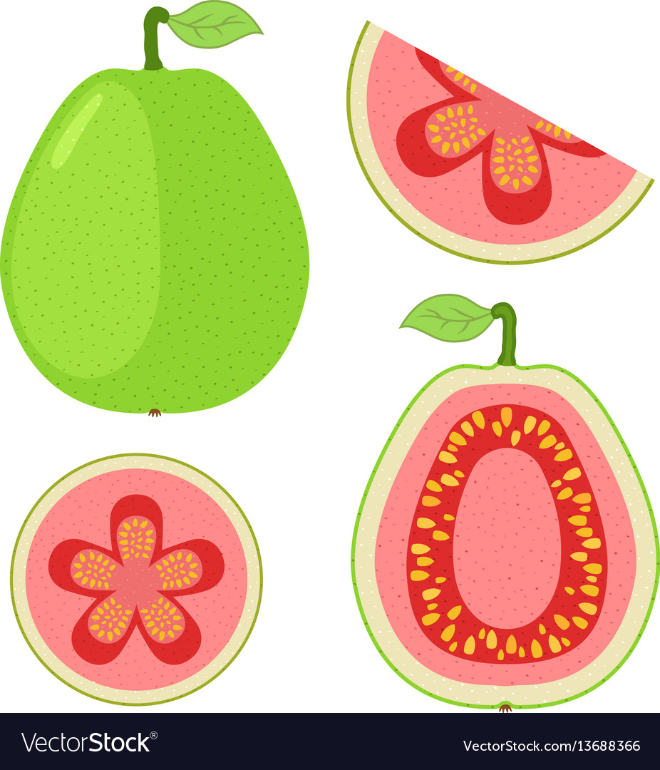 Slices of guava whole exotic fruit flat cartoon Vector Image