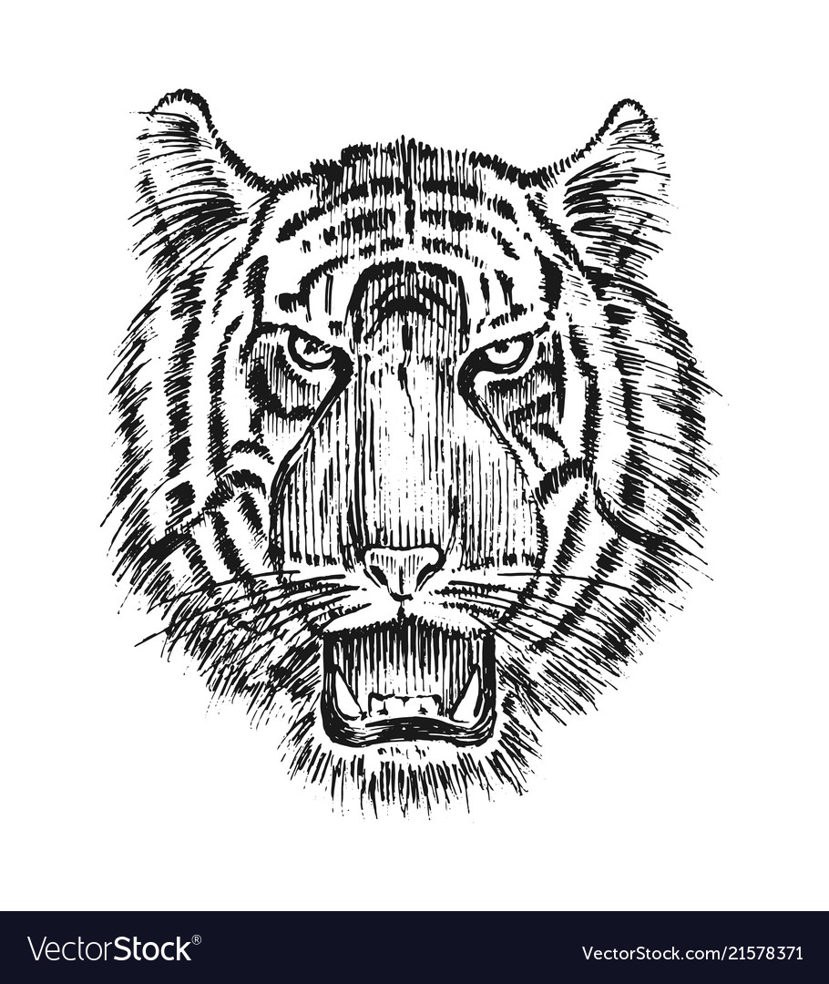 Japanese wild tiger asian animal cat profile vector image Japanese wild tiger asian animal cat profile