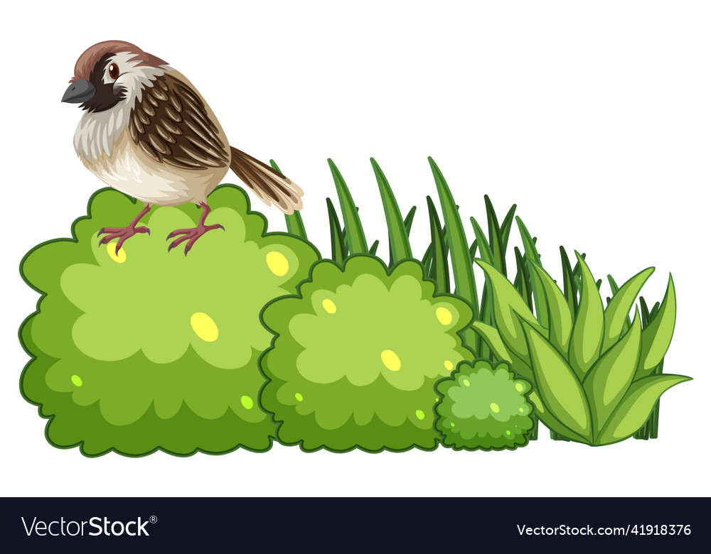 A bird on bush in cartoon style