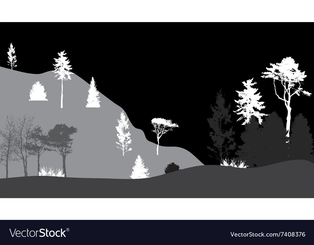 Bild der Natur Baum silhouette eco Banner