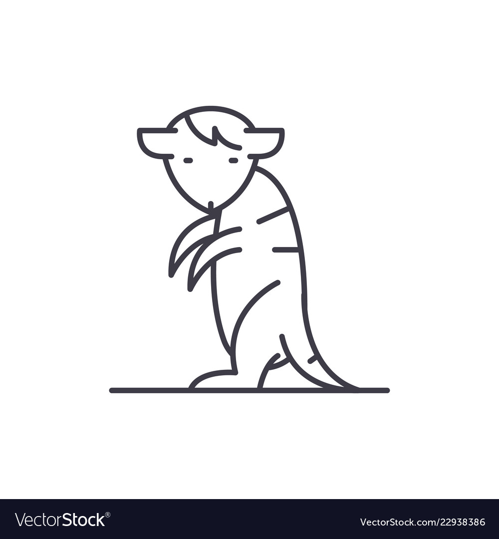 Meerkat line icon concept linear