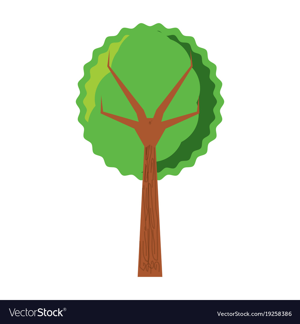 Tree icon image