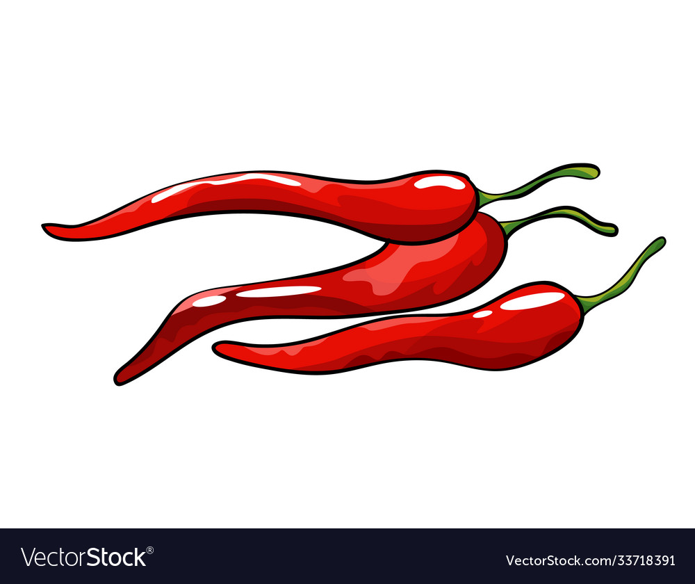 Hand gezeichnet Chili Pfeffer isoliert scharf würzig