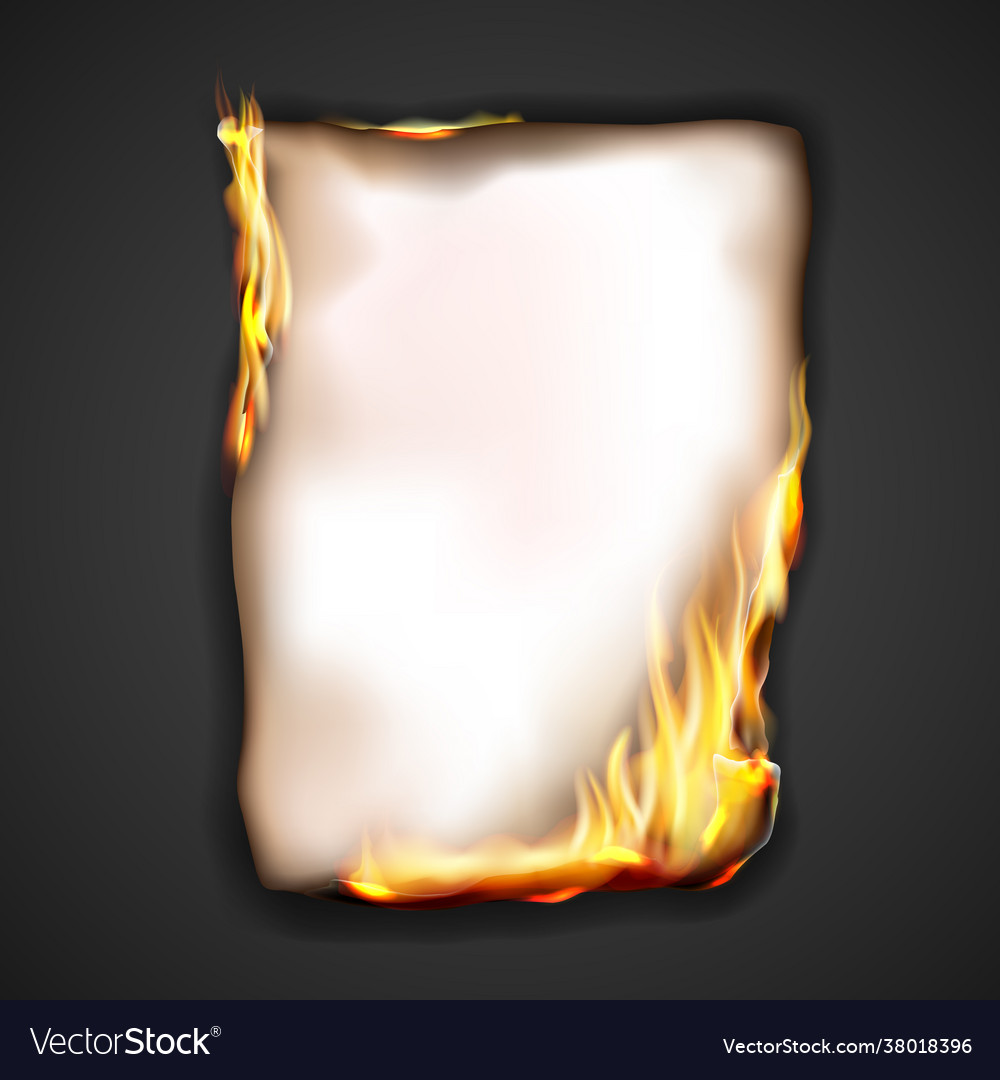 Paper burning in fire flame realistic burnt Vector Image