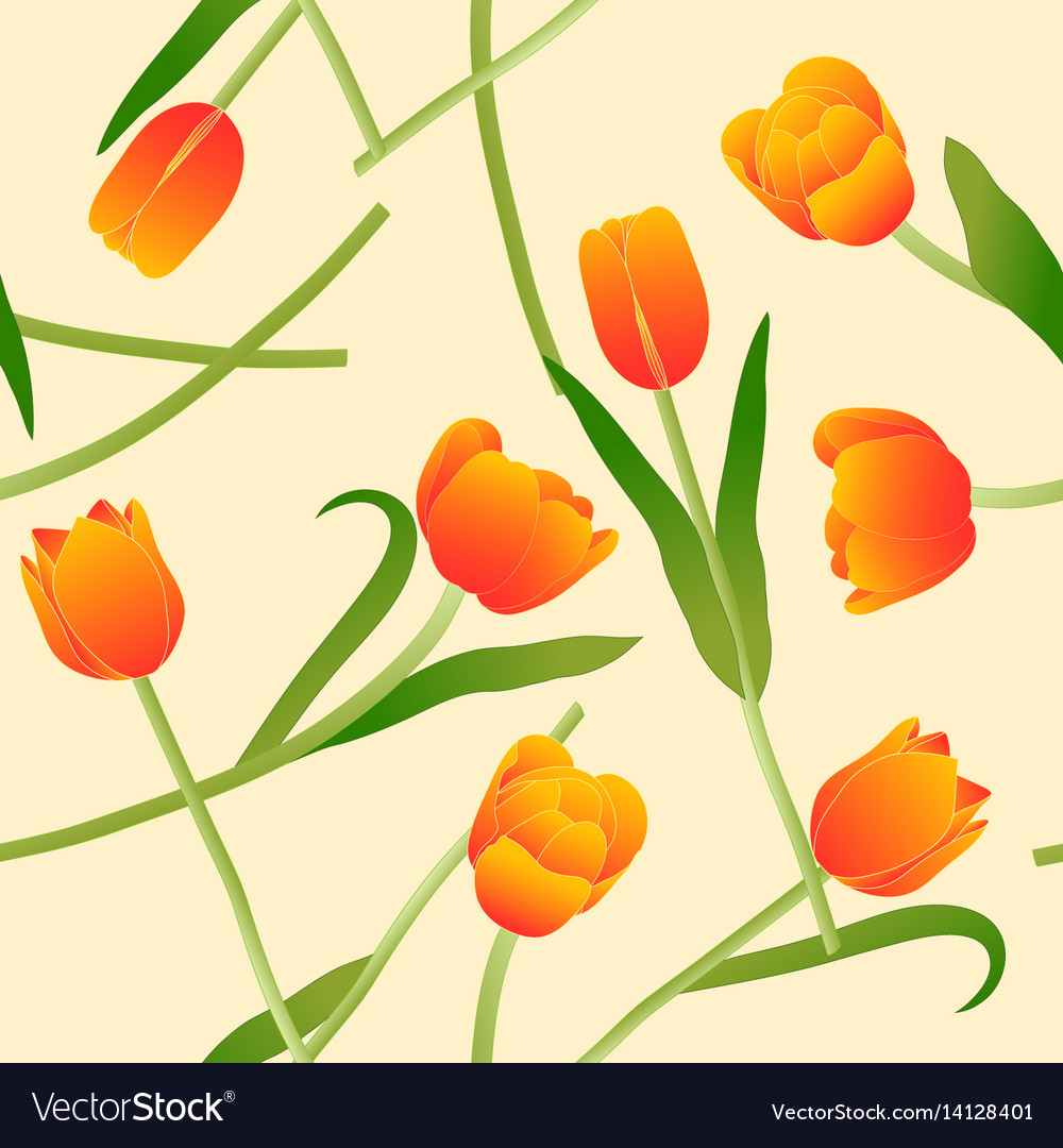 Orange tulip on beige ivory background Royalty Free Vector