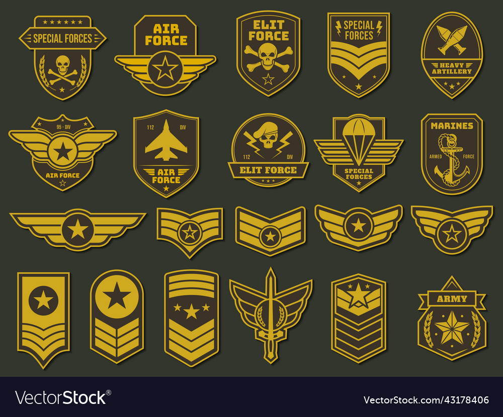 Army badges military units emblems soldier Vector Image