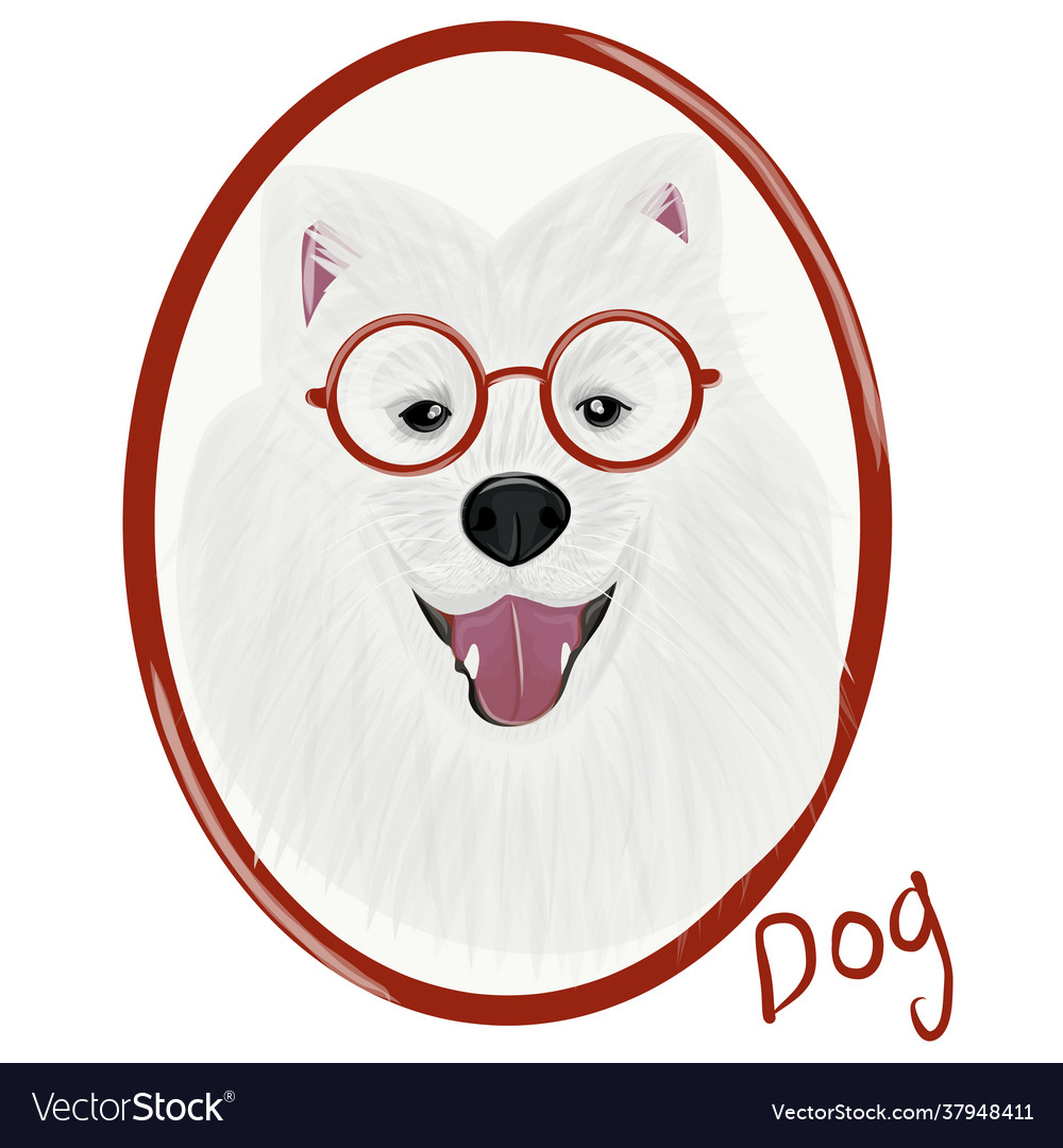 Samoyed Hundeporträt Vector Image Samoyed Hundeporträt