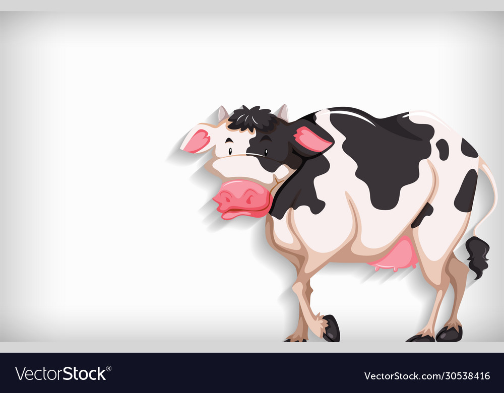 Background template with plain color and cow vector image Background template with plain color and cow