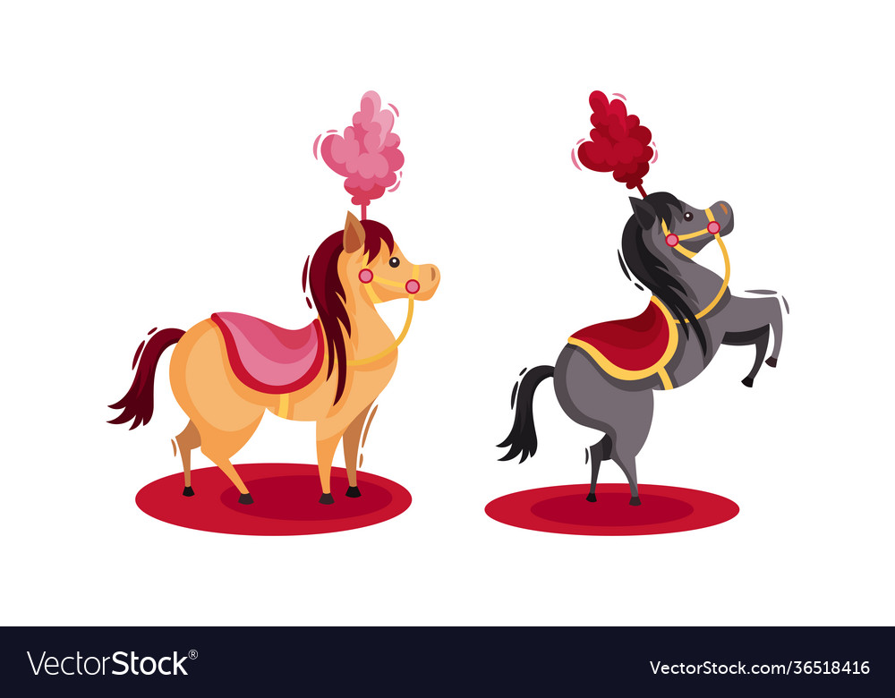 Circus performance attribute with dancing horse