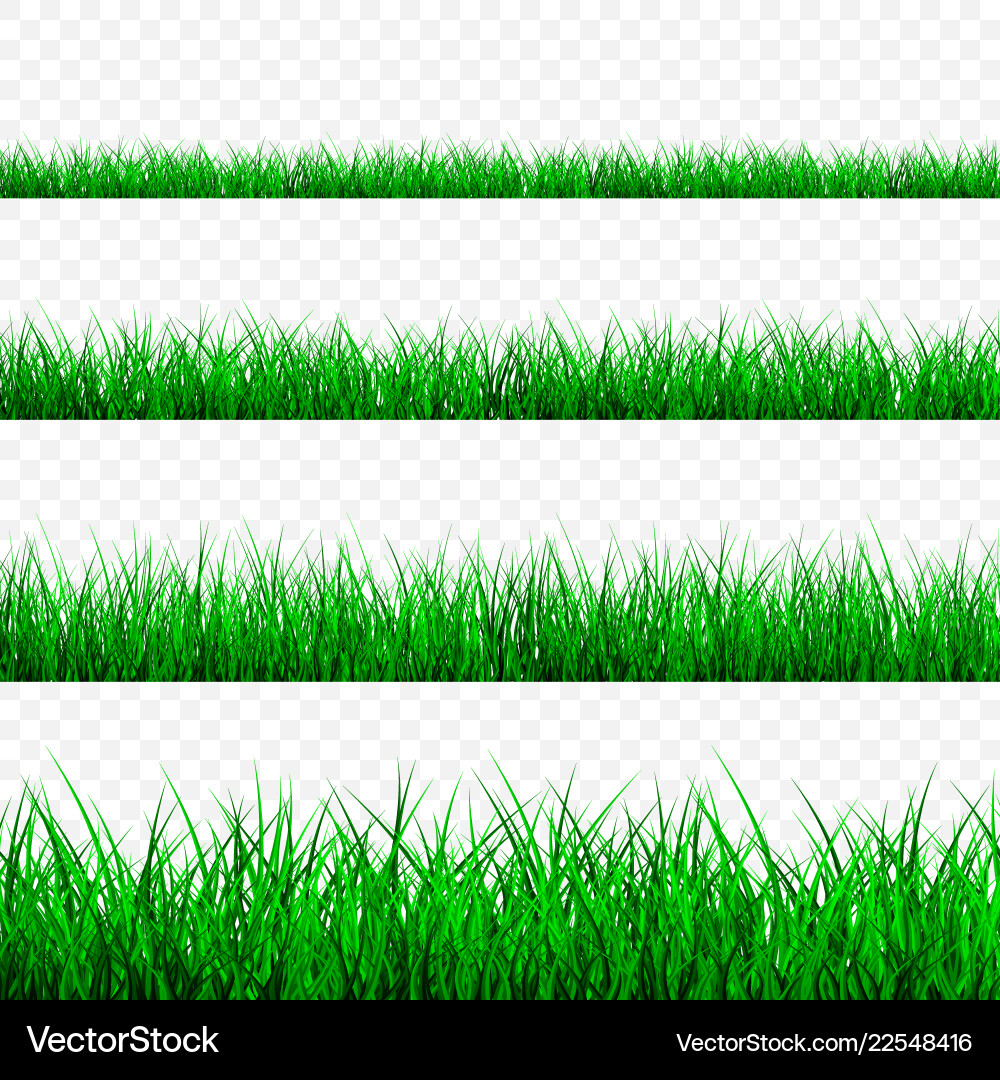 Green grass border set Royalty Free Vector Image